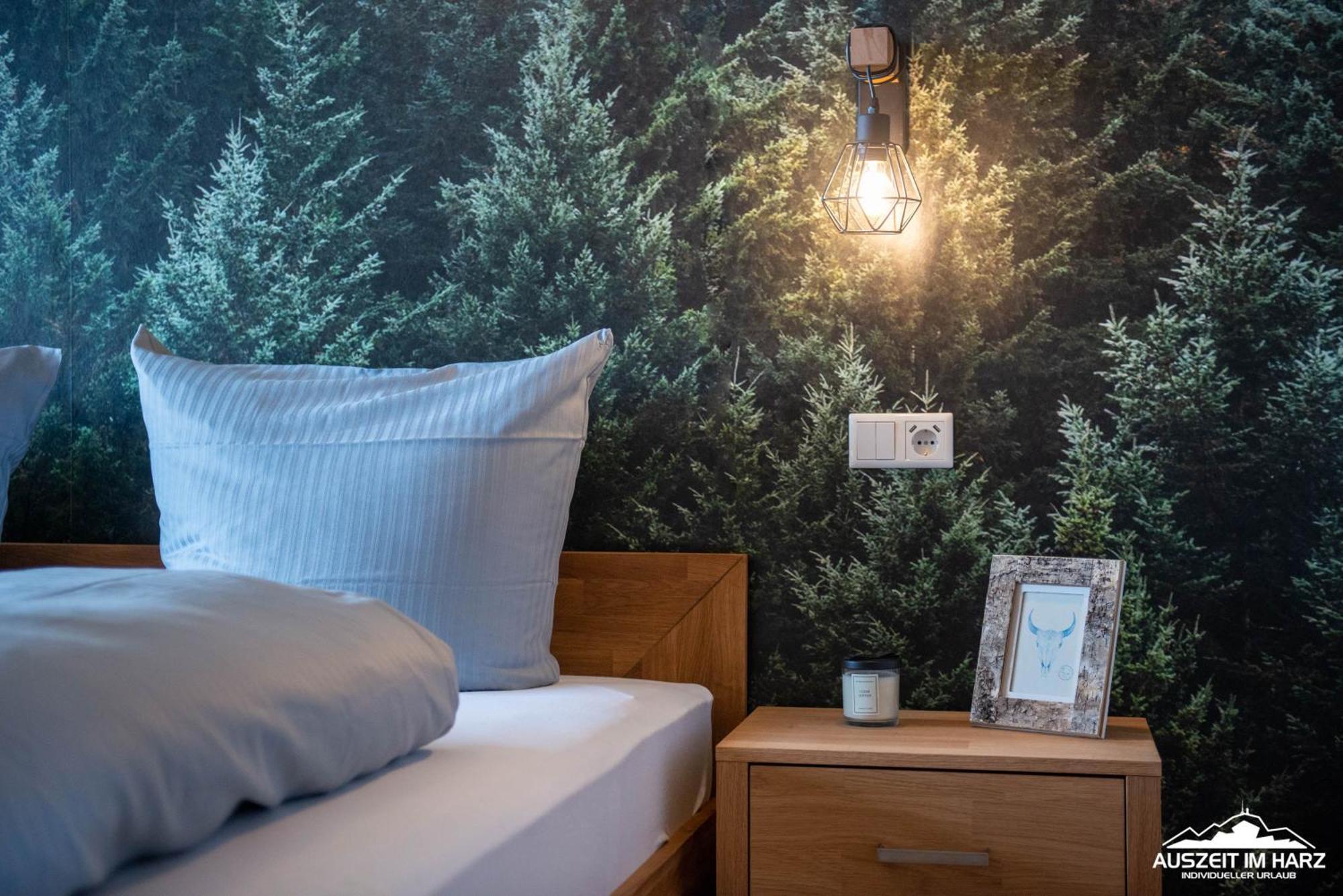 Auszeit-Im-Harz Haus 3 Wohnung 4 Braunlage Eksteriør bilde